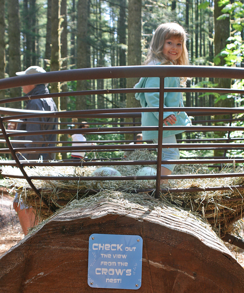 Silver Falls State Park: North Canyon Nature Play Area - Learning