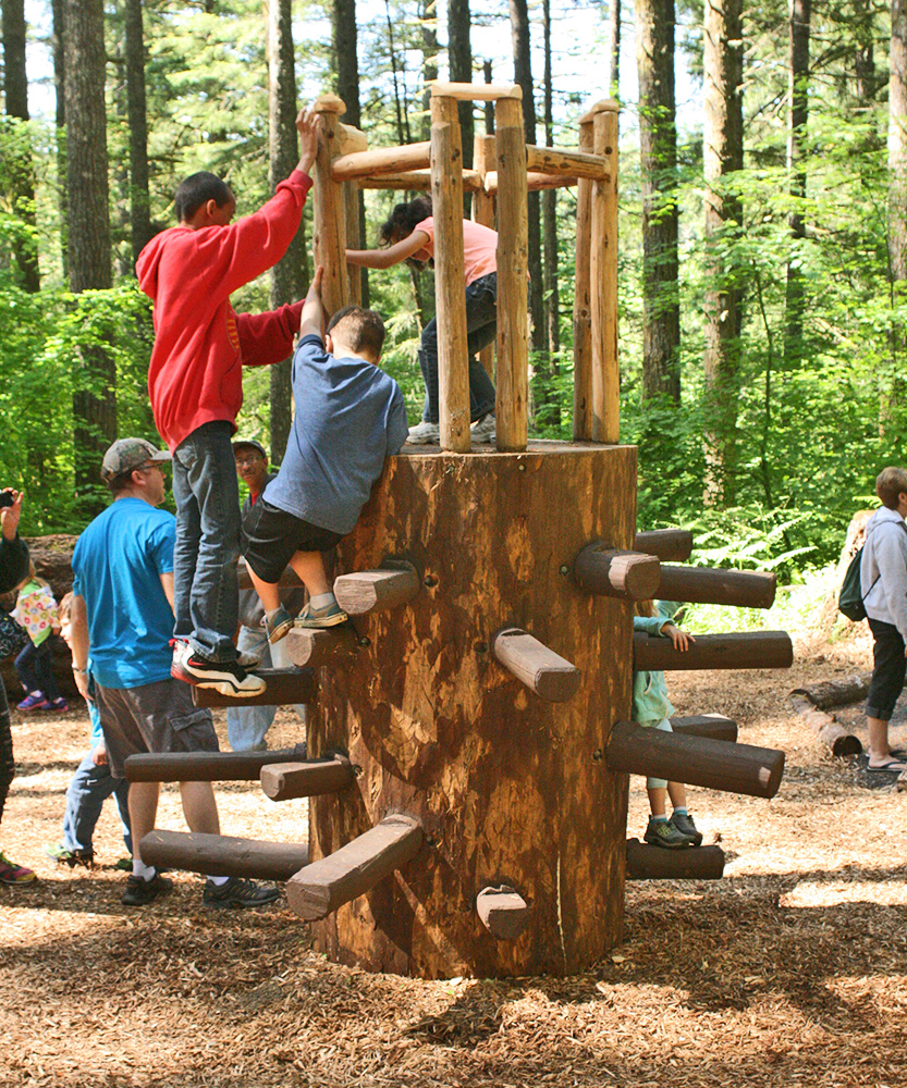 Silver Falls State Park: North Canyon Nature Play Area - Learning