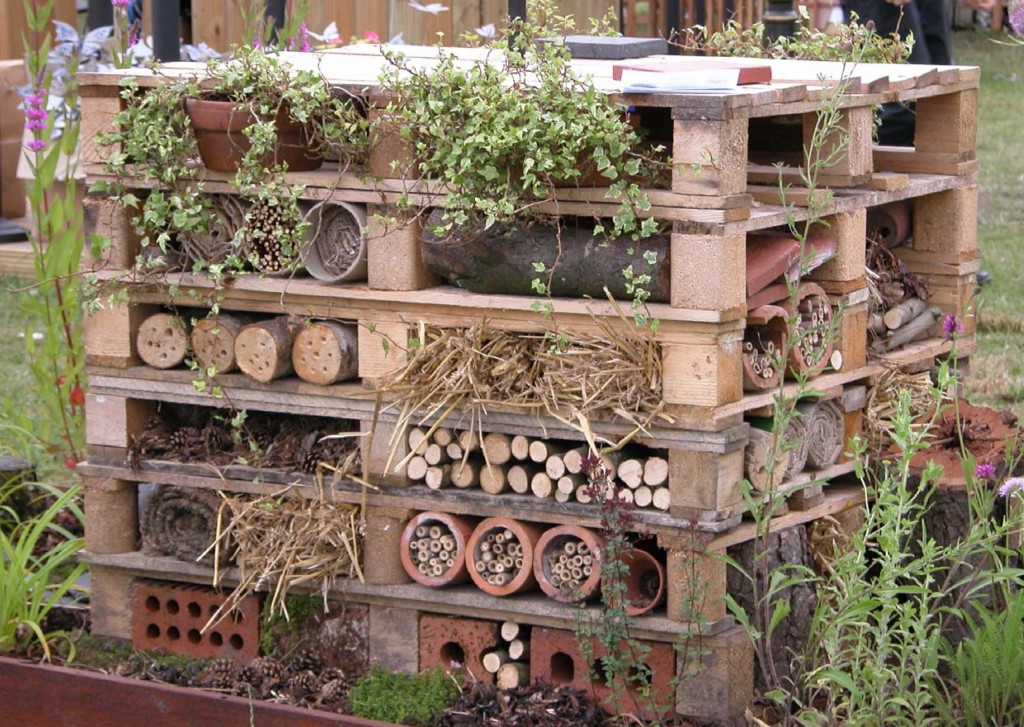 wildlife-trust-insect-hotel-1024x727