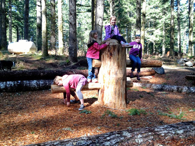 silverfalls_north_canyon_nature_play_learning_landscapes6