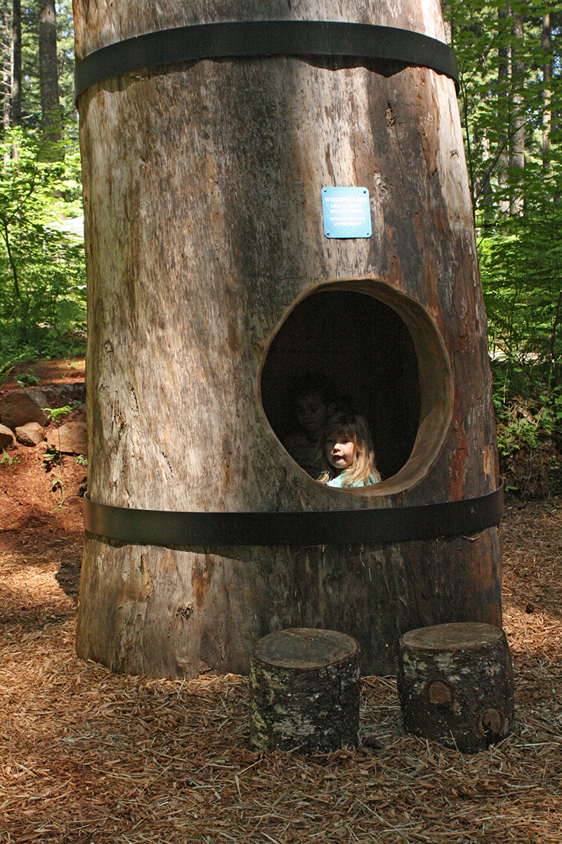 Silver Falls State Park: North Canyon Nature Play Area - Learning