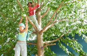 girls-climbing-a-tree