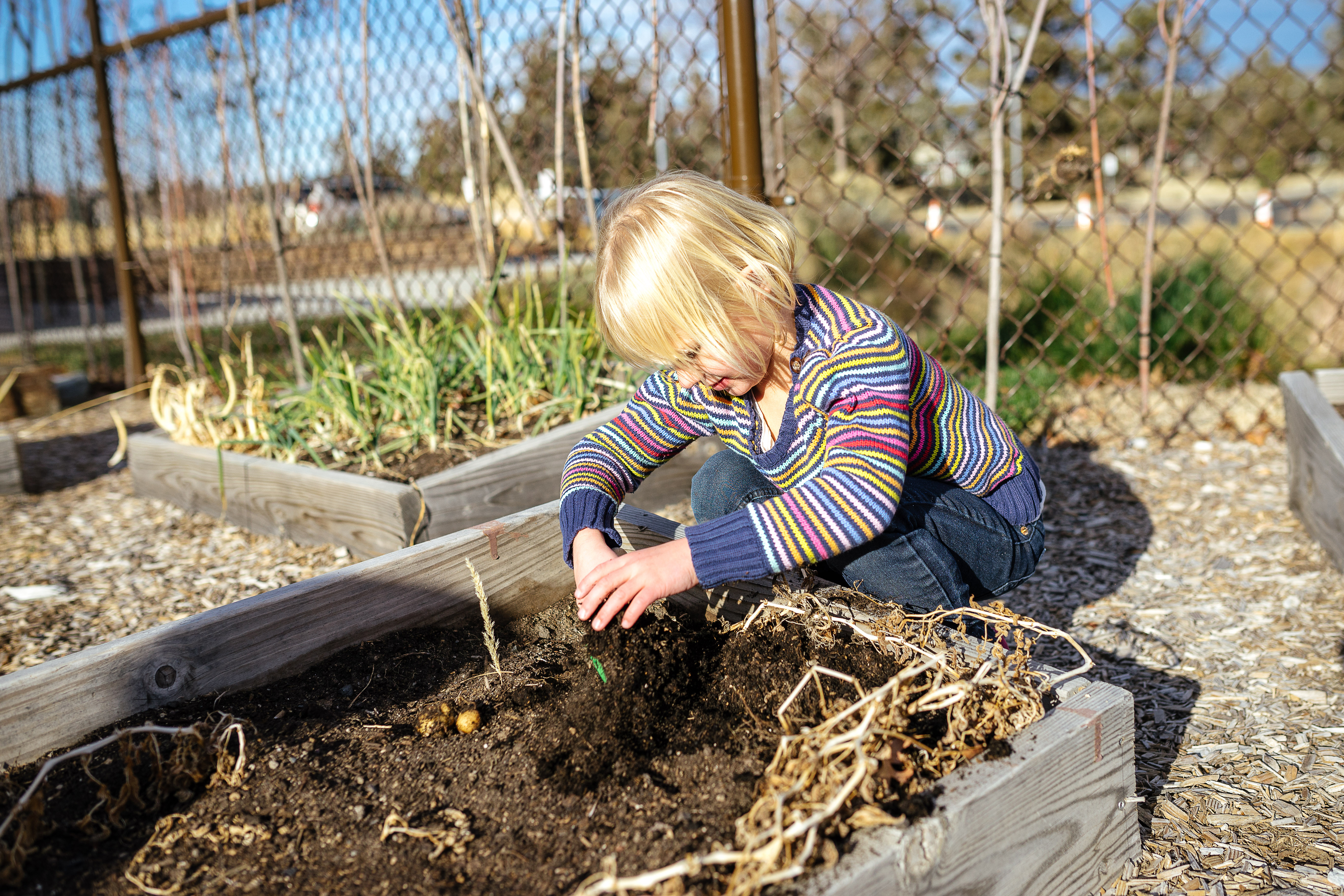 nature playground Oregon grants three bids