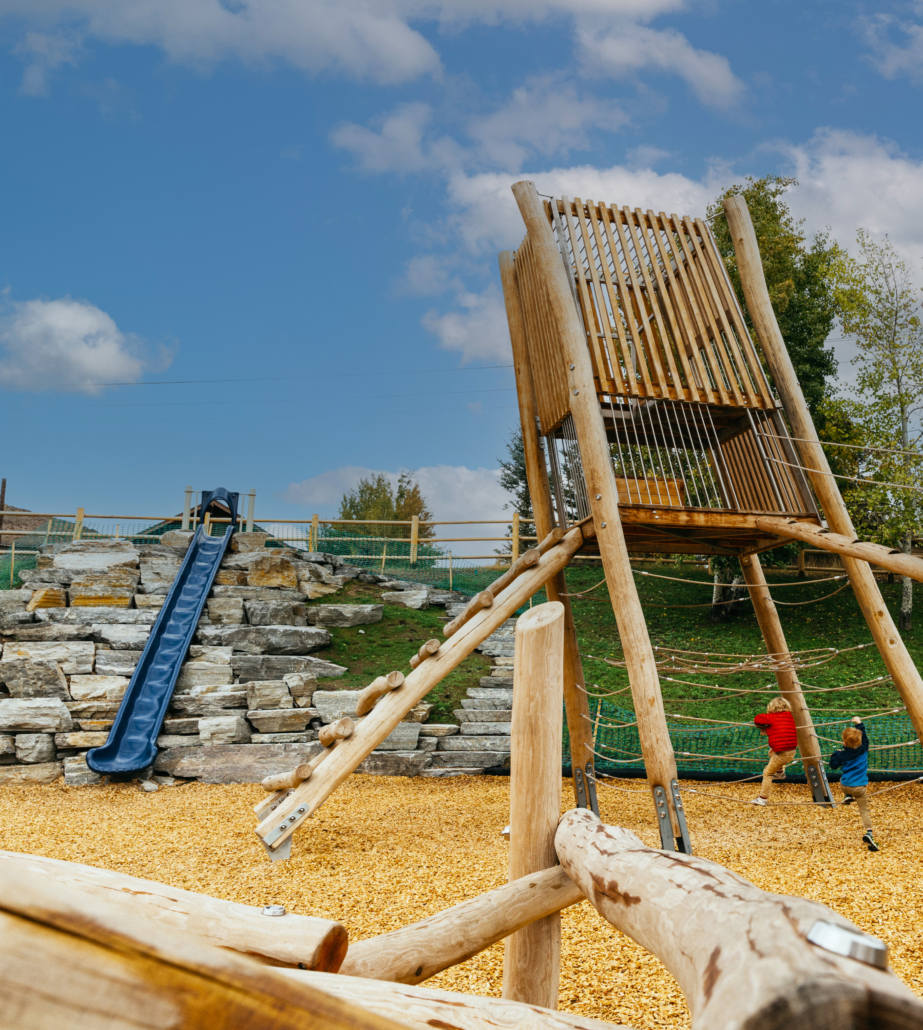 Learning-Landscapes-nature-play-log-climber