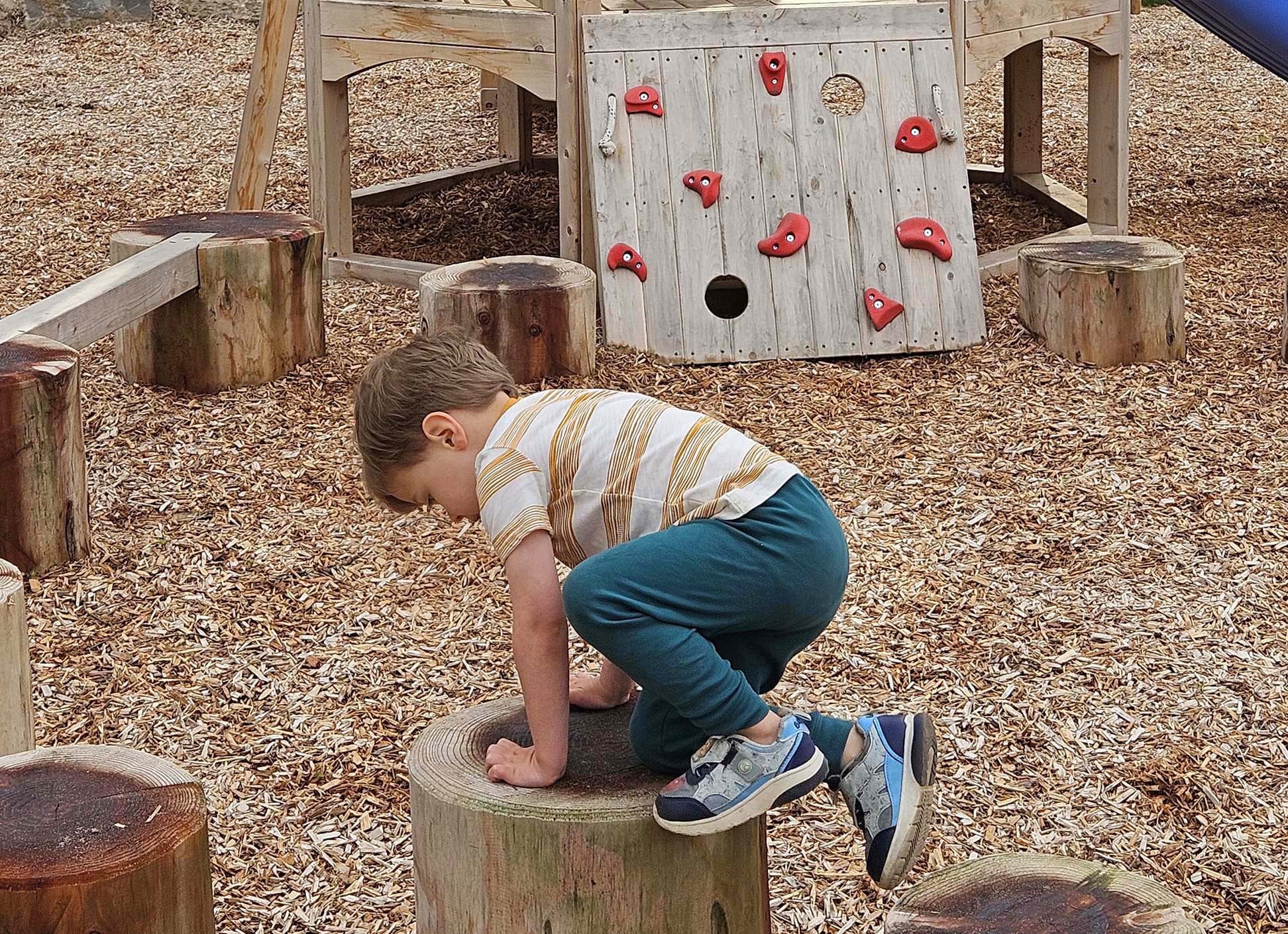 learning-landscapes-design-morningstar-stump_website